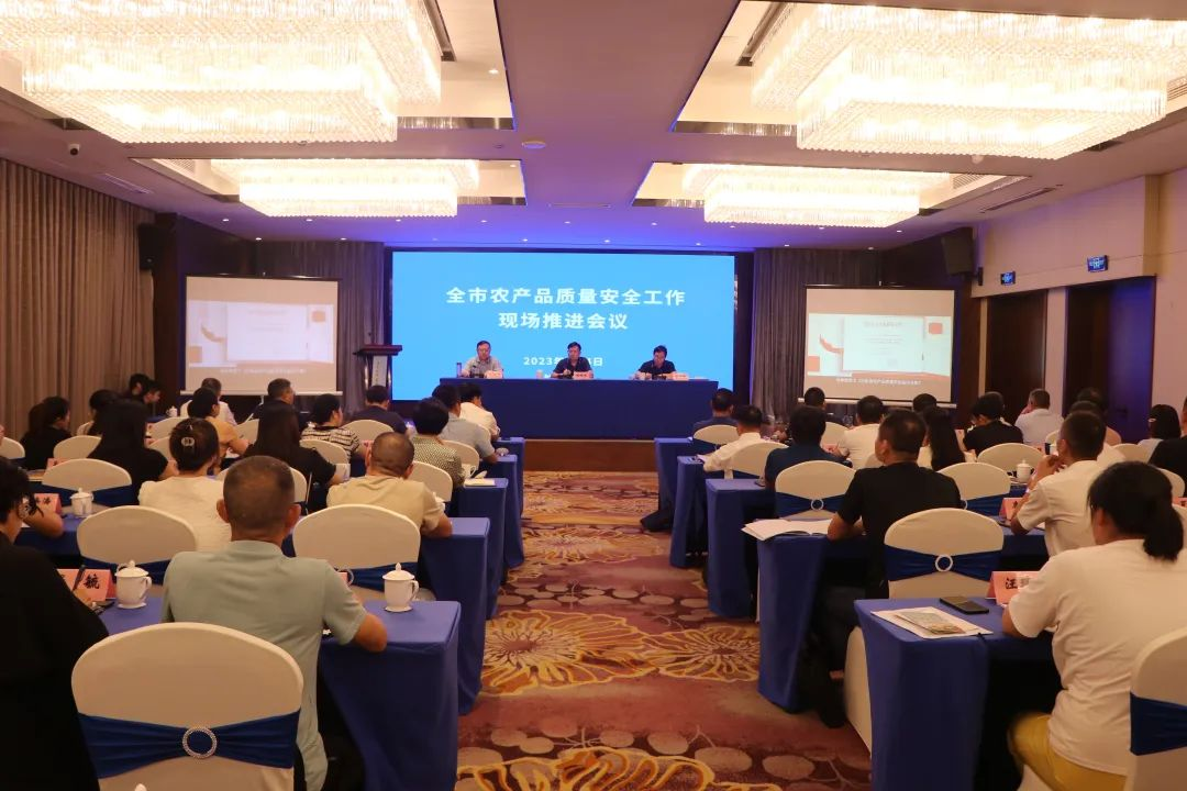 1694309567411683.png 1694309567411683.png