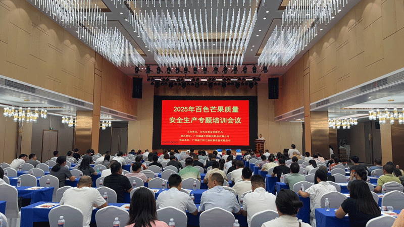 1749462410678326.png 777.png